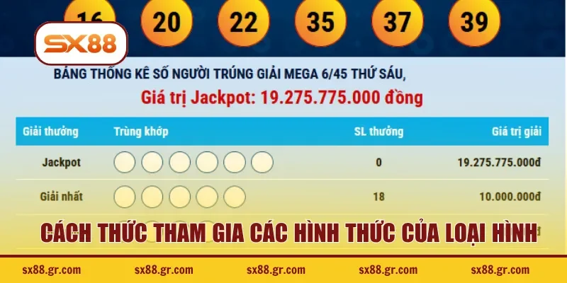Cách thức tham gia các hình thức của loại hình chi tiết