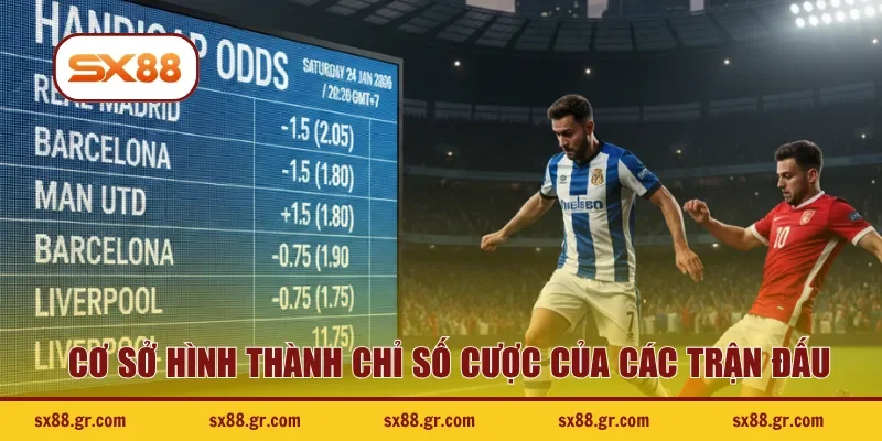 Những cơ sở hình thành chỉ số cược của các trận đấu